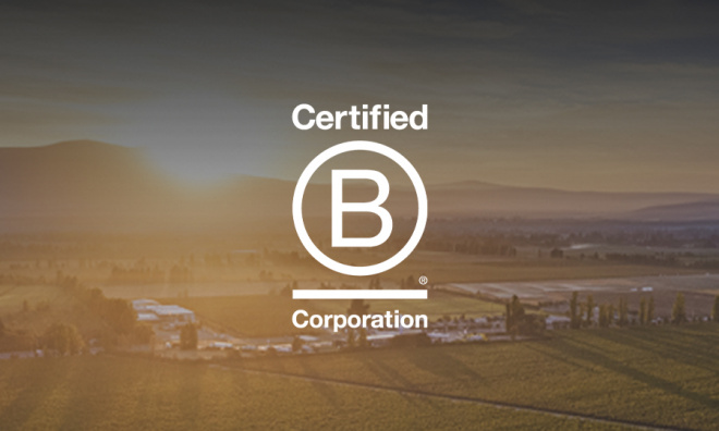 Vina Concha y Toro achieves B Corp Recertification